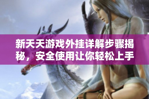 新天天游戏外挂详解步骤揭秘，安全使用让你轻松上手