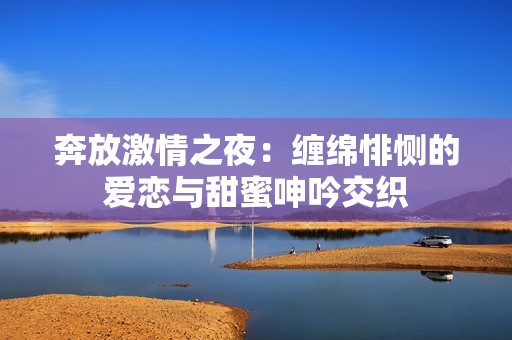 奔放激情之夜：缠绵悱恻的爱恋与甜蜜呻吟交织