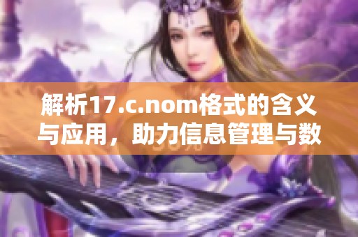 解析17.c.nom格式的含义与应用，助力信息管理与数据处理的有效性提升