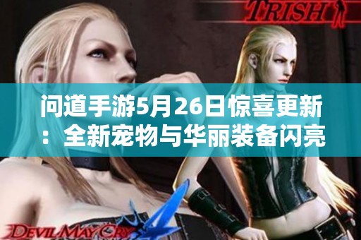 问道手游5月26日惊喜更新：全新宠物与华丽装备闪亮登场！