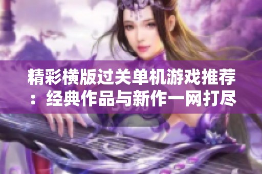 精彩横版过关单机游戏推荐：经典作品与新作一网打尽