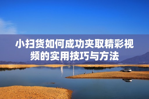 小扫货如何成功夹取精彩视频的实用技巧与方法